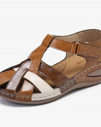 Brown / 3